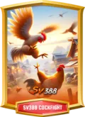 Aog Cockfight