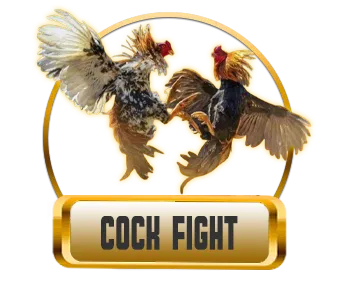 Aog Cockfight