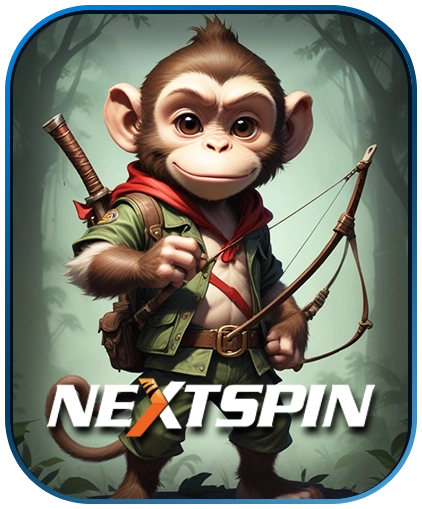 Nextspin